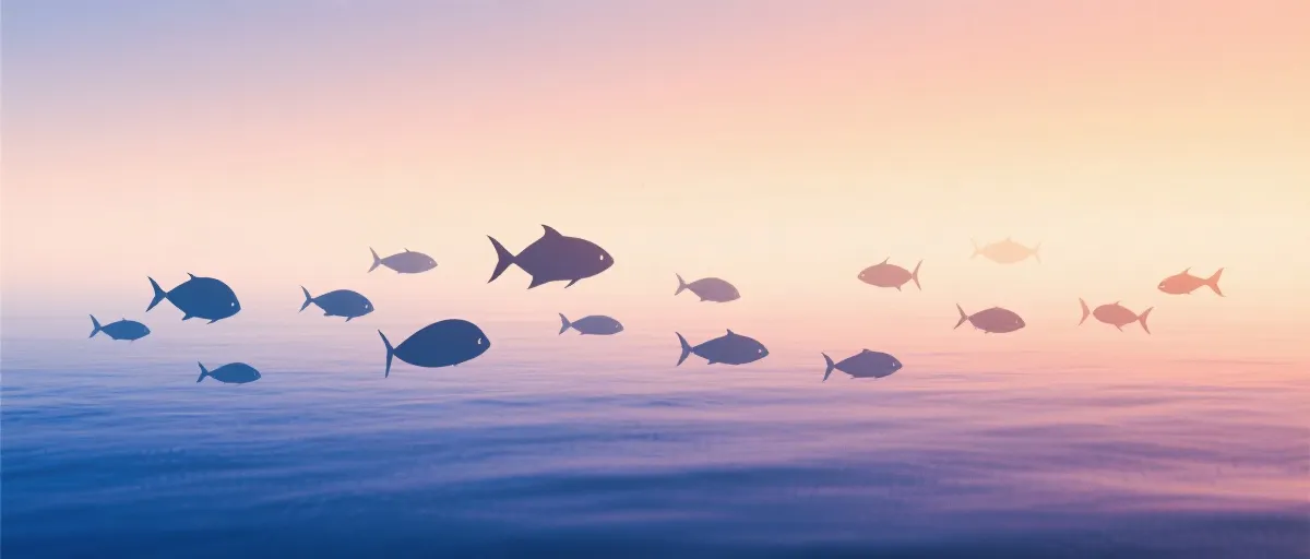 品牌视觉：海洋休闲玩法